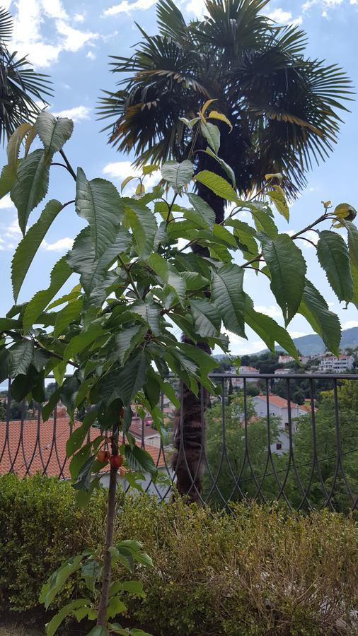 Apartamento Luppo Ičići